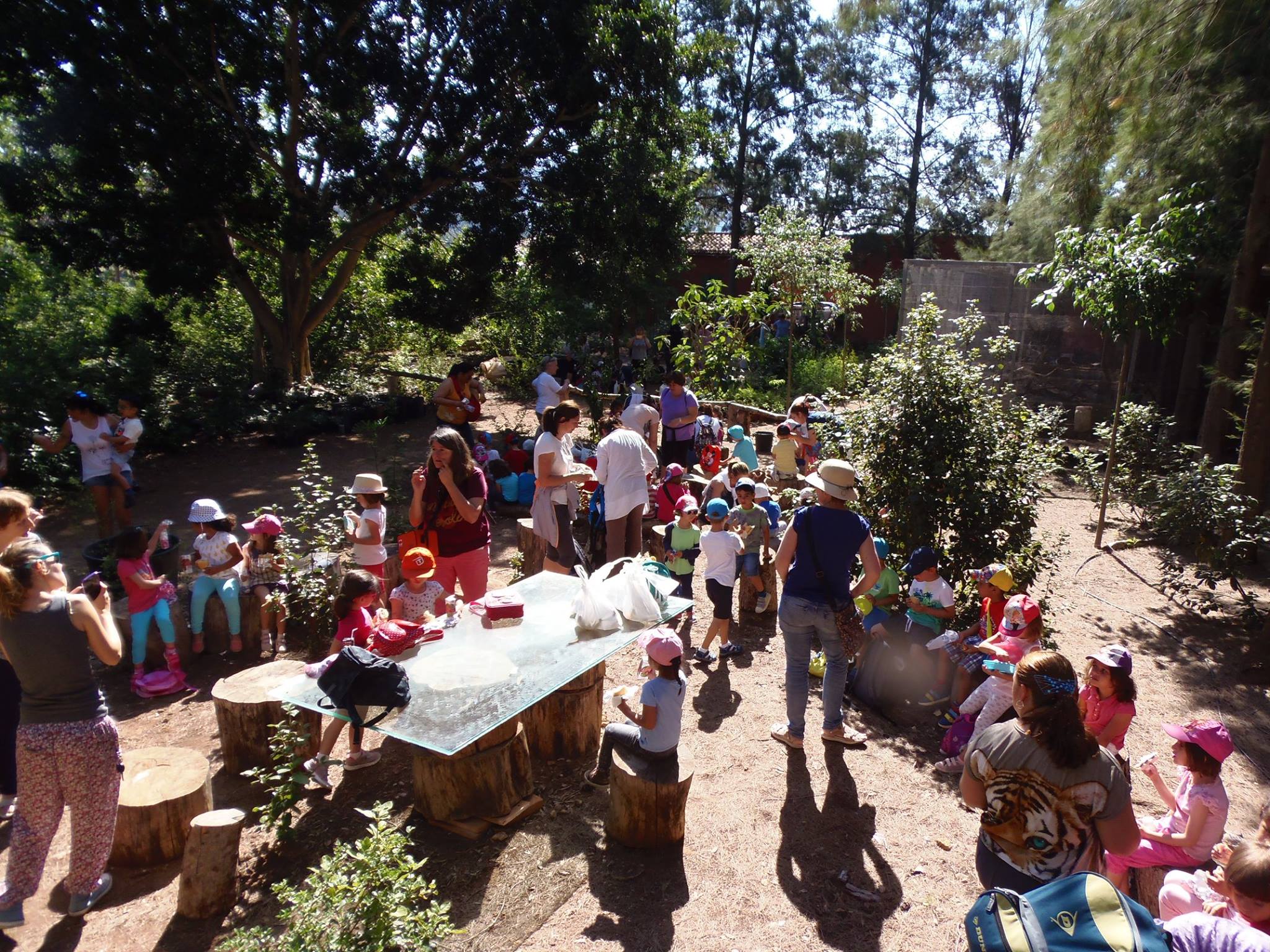 13329324_1002688176516131_4462733883114300313_o