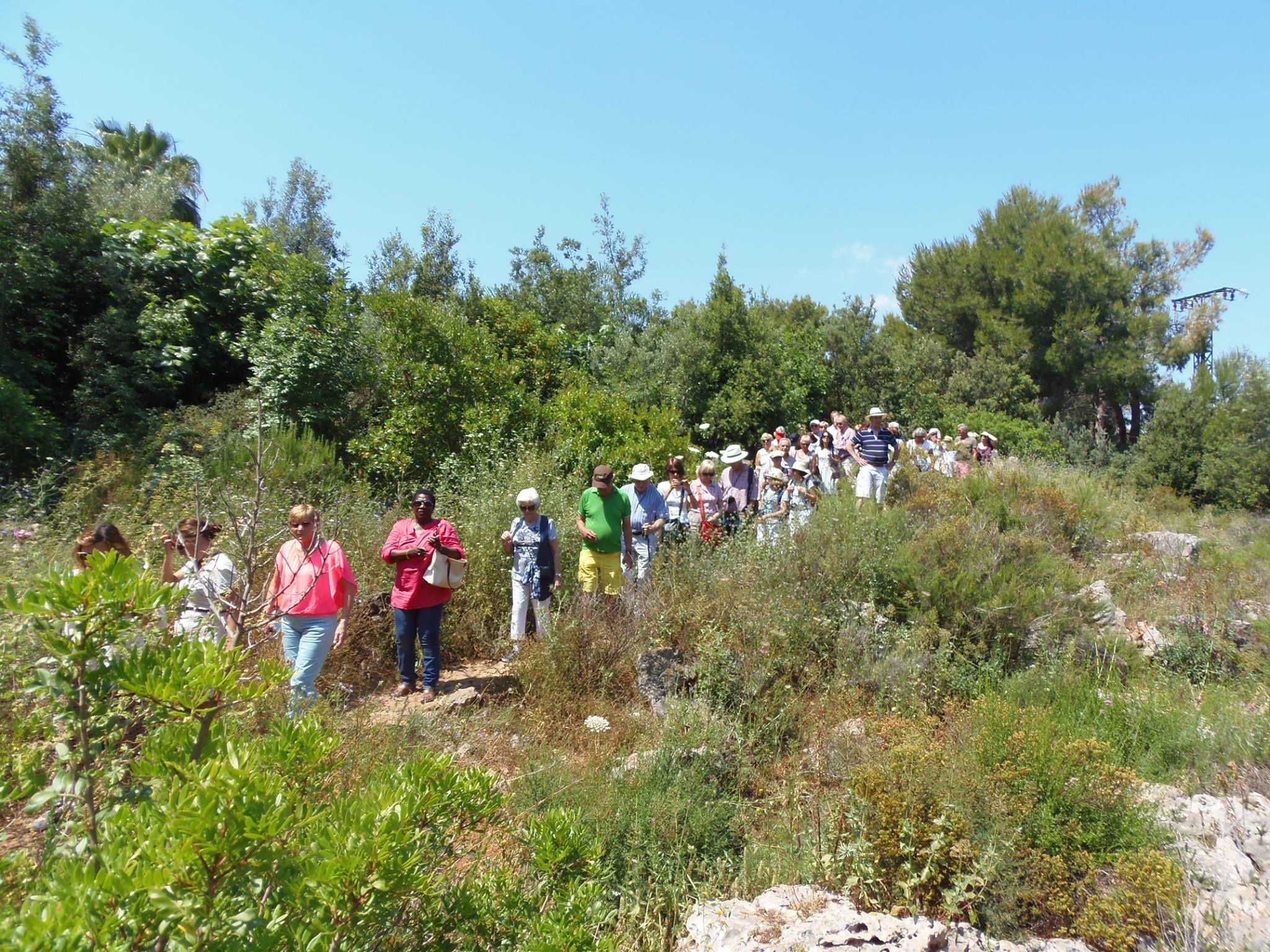 13392220_1006493246135624_6177227531027780455_o