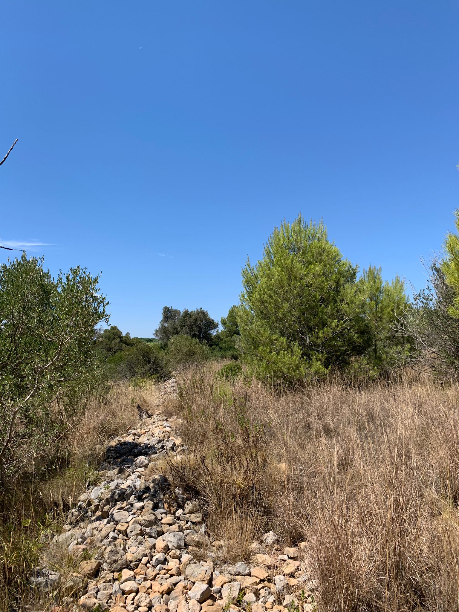 WhatsApp-Image-2022-10-20-at-13.23.16-1