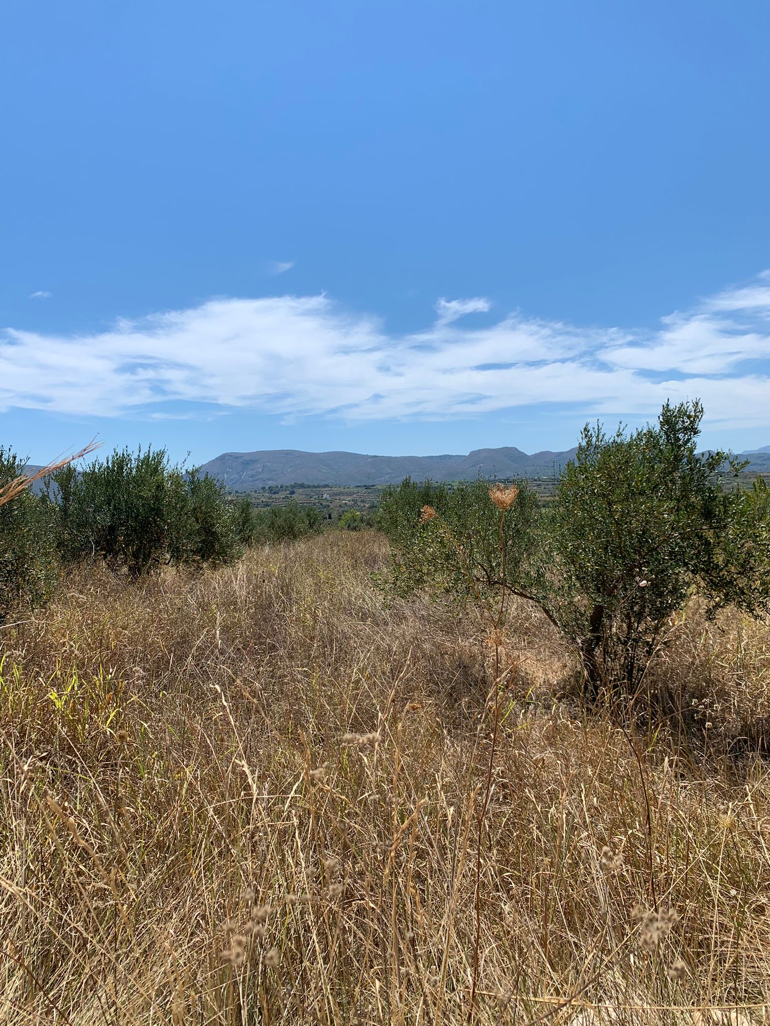 WhatsApp-Image-2022-10-20-at-13.23.16-2