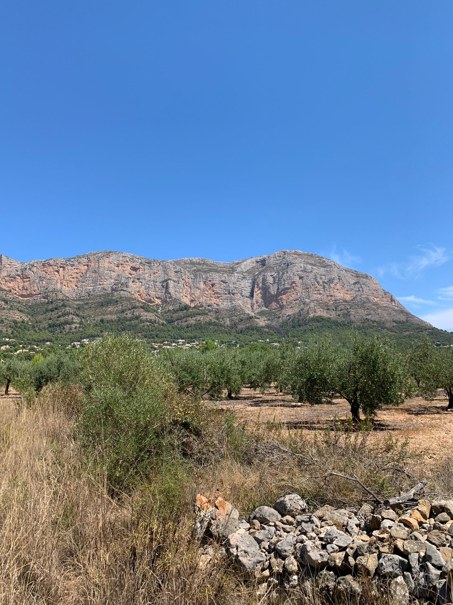 WhatsApp-Image-2022-10-20-at-13.23.16-3