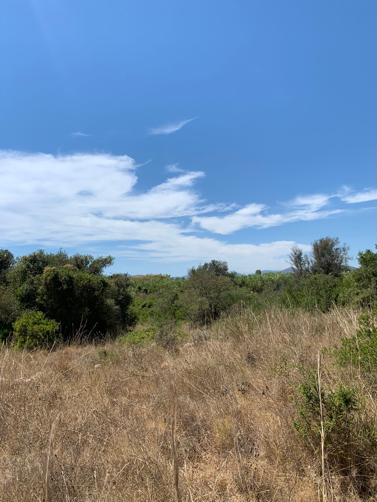 WhatsApp-Image-2022-10-20-at-13.23.16