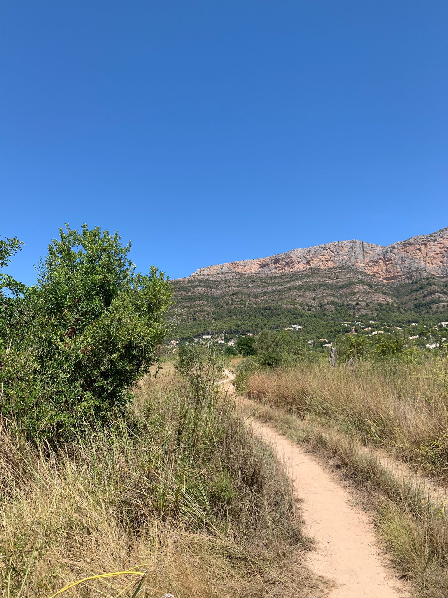 WhatsApp-Image-2022-10-20-at-13.23.17